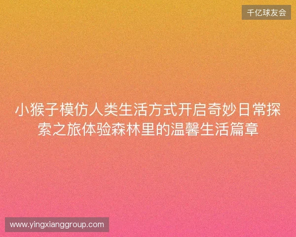 小猴子模仿人类生活方式开启奇妙日常探索之旅体验森林里的温馨生活篇章